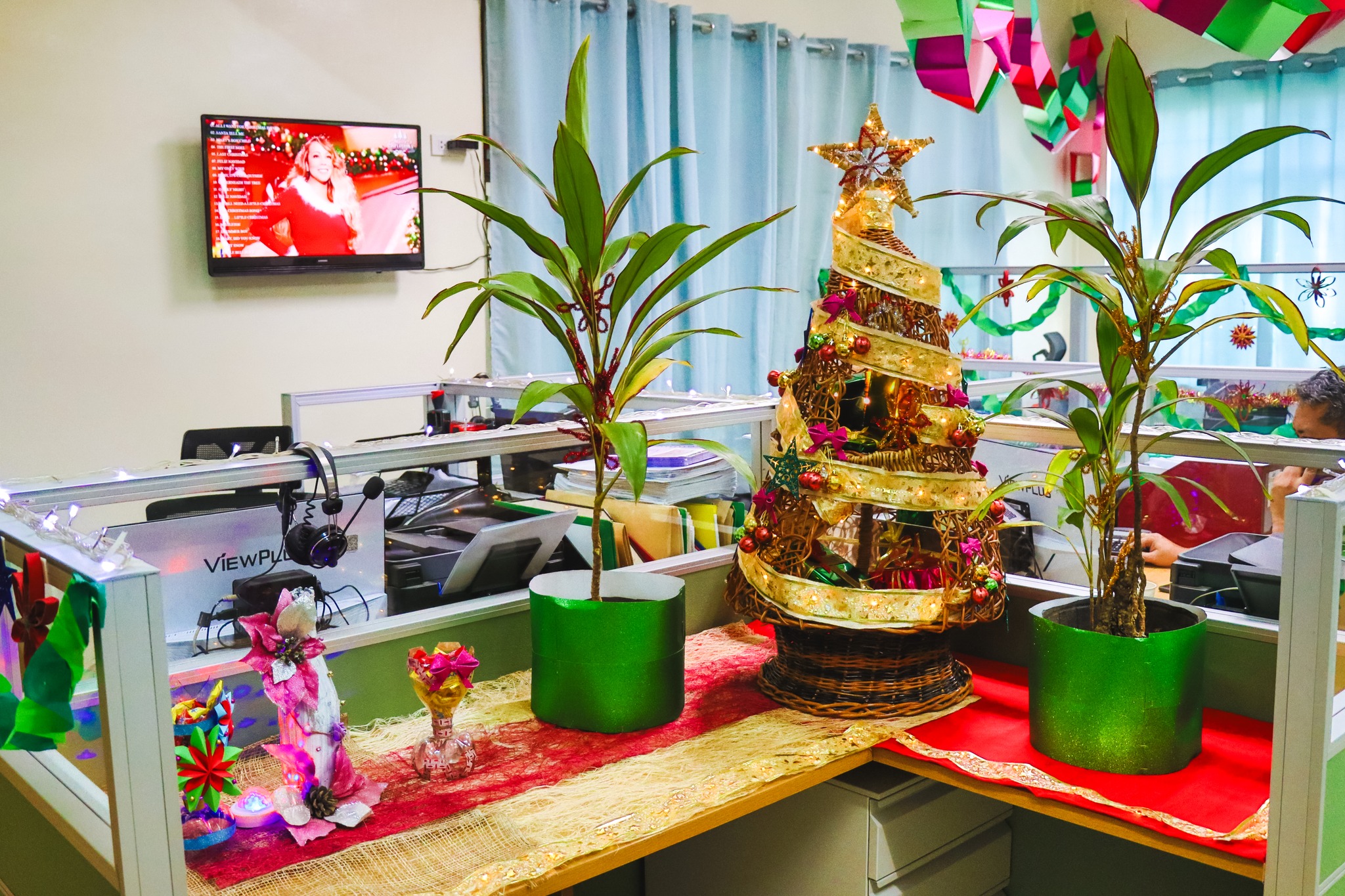 A Very Green Christmas at UP Tacloban